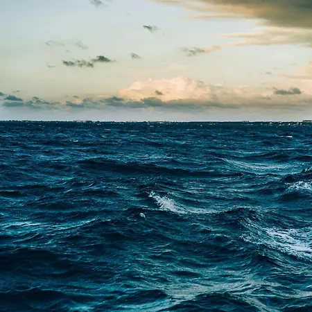 Fly In In Front Of The Famous Promenade With Shops And Establishments Vendégház Viareggio
