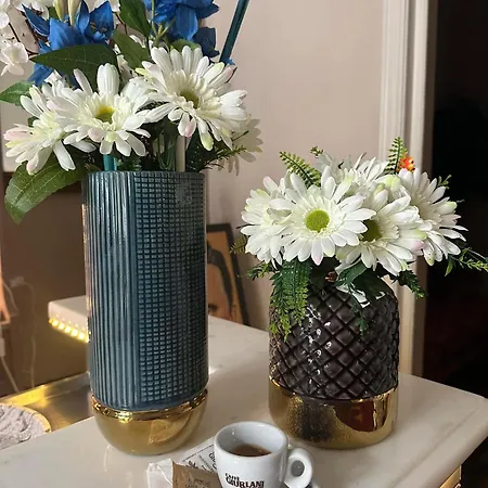 Fly In In Front Of The Famous Promenade With Shops And Establishments ヴィアレッジョ