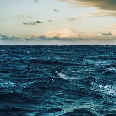 Fly In In Front Of The Famous Promenade With Shops And Establishments Viareggio