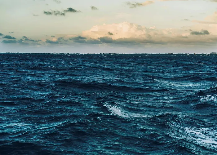 Fly In In Front Of The Famous Promenade With Shops And Establishments Viareggio